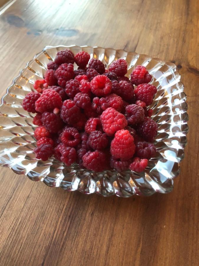 Cider House Bed And Breakfast Waynesboro Ngoại thất bức ảnh